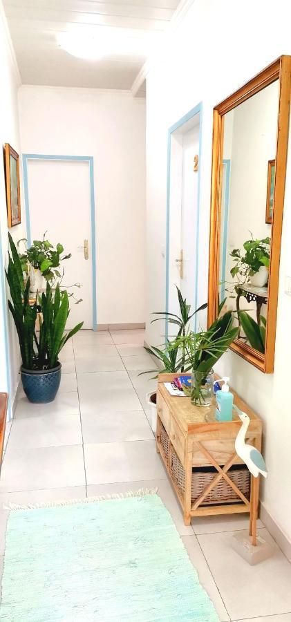 Home & Flower - Private Bedrooms Funchal Екстериор снимка