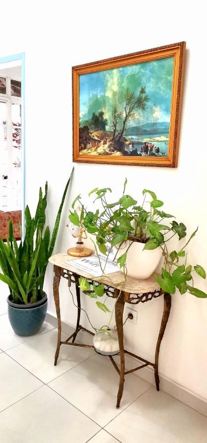 Home & Flower - Private Bedrooms Funchal Екстериор снимка