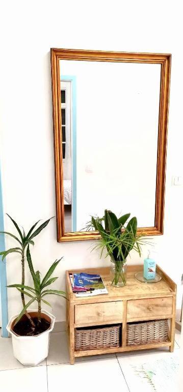 Home & Flower - Private Bedrooms Funchal Екстериор снимка