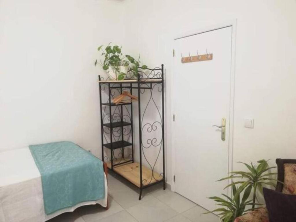 Home & Flower - Private Bedrooms Funchal Екстериор снимка